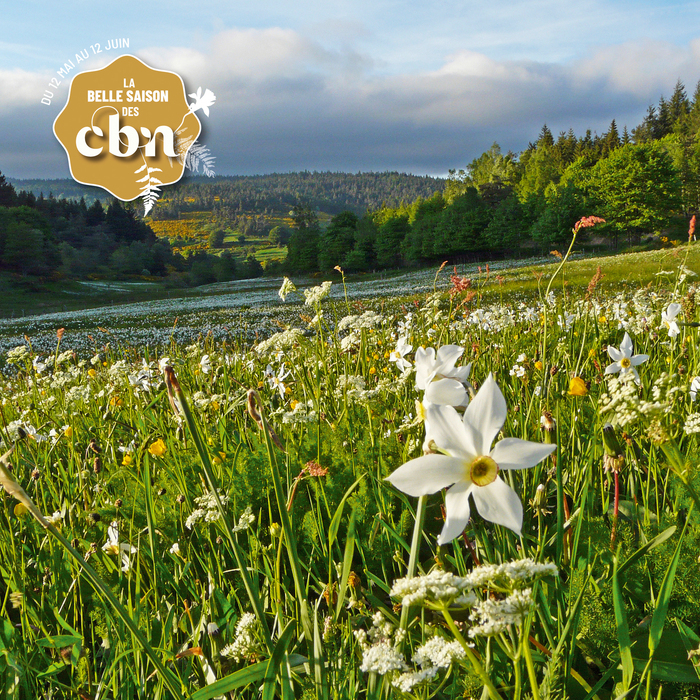 Nuit Européenne des Musées / Exi(s)tere - LE PUY EN VELAY (43) musée crozatier Le Puy-en-Velay
