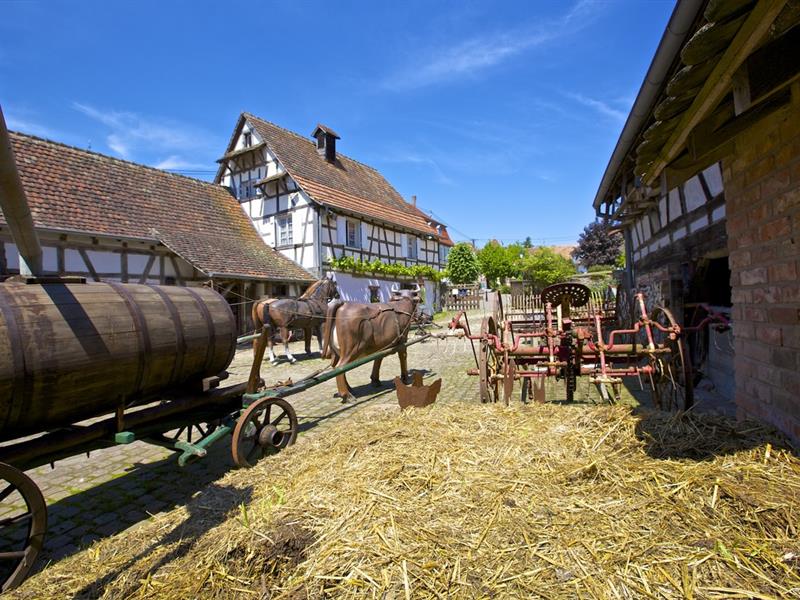 Nuit européenne des musées  Kutzenhausen