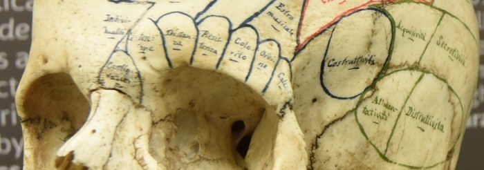Nuit & Musées Museo di Anatomia Umana dell'Università degli Studi di Perugia Deruta