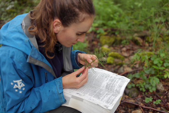 Observer les plantes, débuter la détermination en botanique et reconnaître les familles, Bibliothèque des Sciences de l’Université de Limoges, Limoges