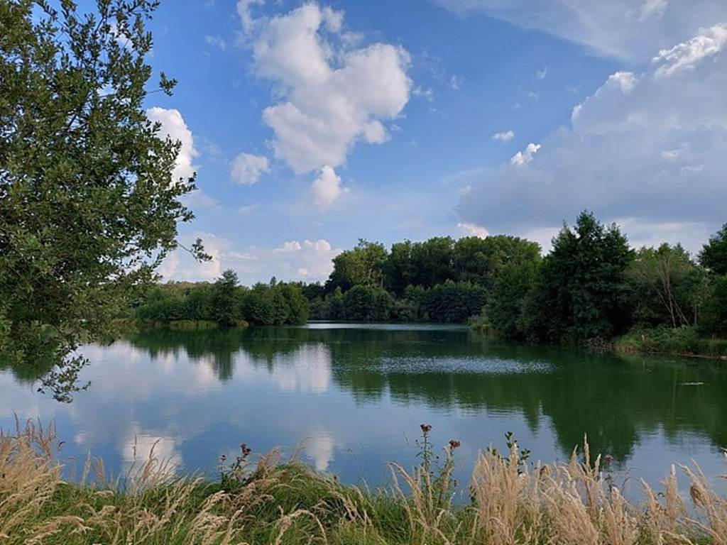Odyssée VTT autour de Buzancy Buzancy Ardennes