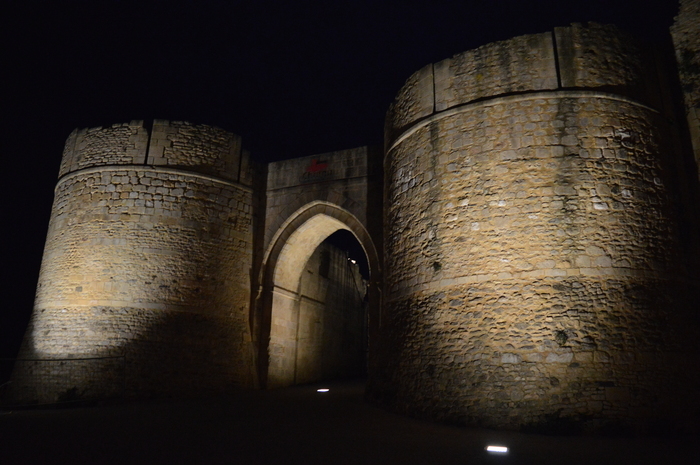 Ombres et lumières au château Guillaume-le-Conquérant, Château Guillaume-le-Conquérant, Falaise