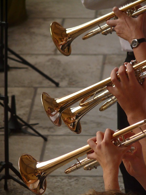 Open de France de Brass Band  Amboise