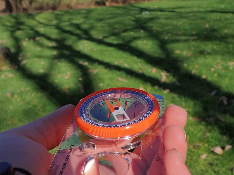  Orient’arbres  Découvertes naturalistes et orientation  Bitche