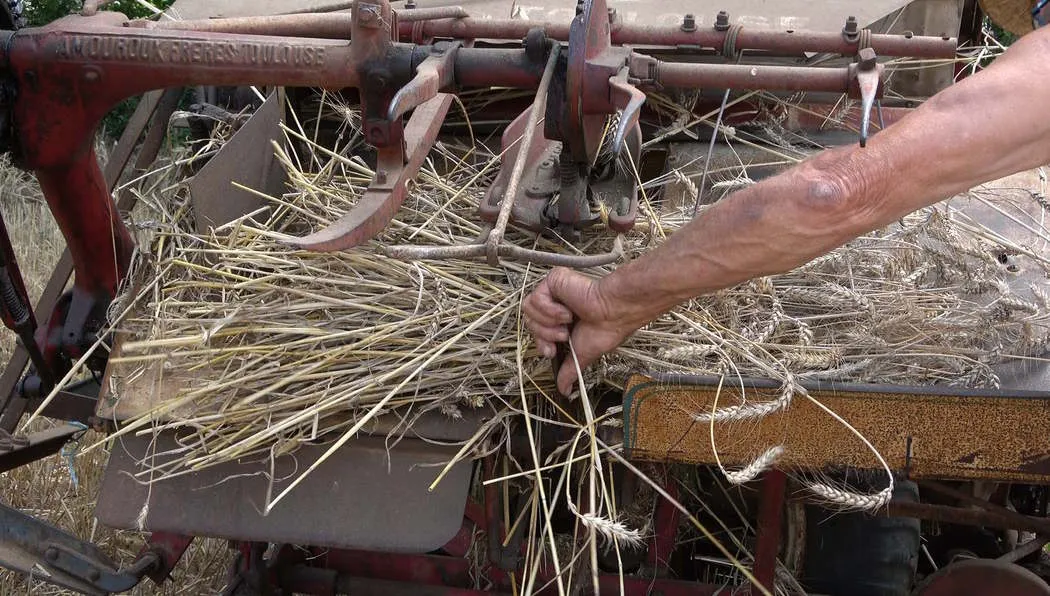 Orliac au cinéma Le Bourg Orliac-de-Bar