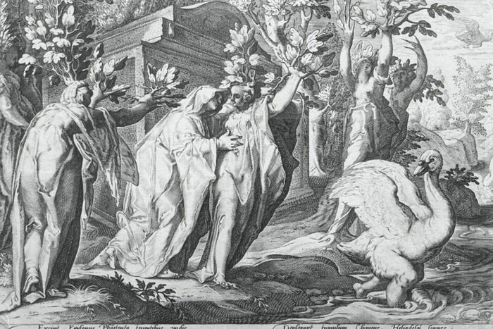 Où est mon héros ? Musée du Dessin et de l'Estampe Originale Gravelines