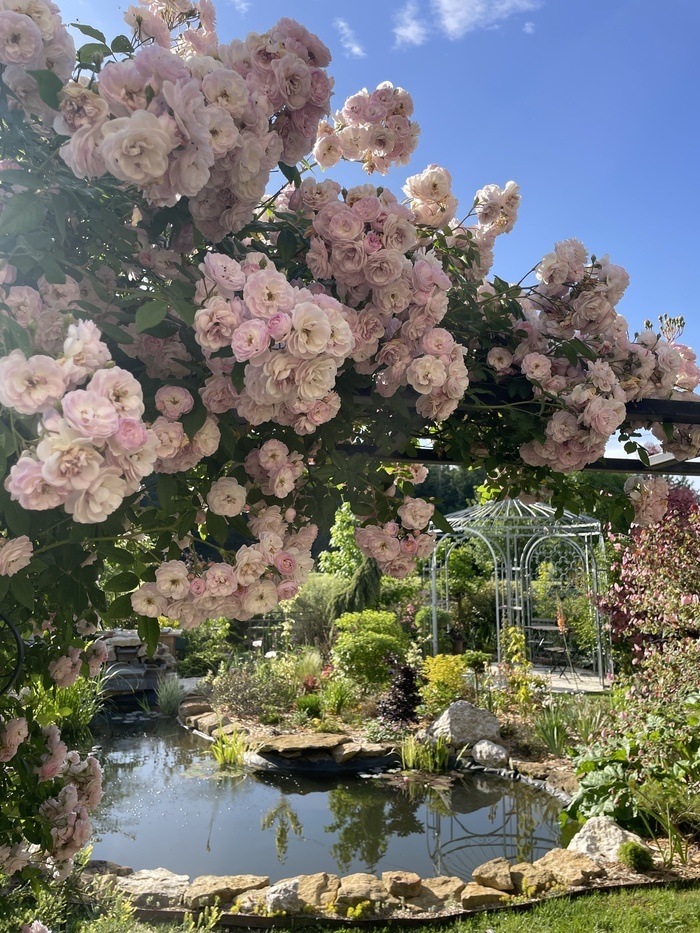 Ouverture du jardin de la Piroudotte Jardin de la Piroudotte Noironte