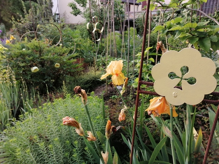 Ouverture exceptionnelle pour une évasion assurée, Un jardin de Reines, Beinheim