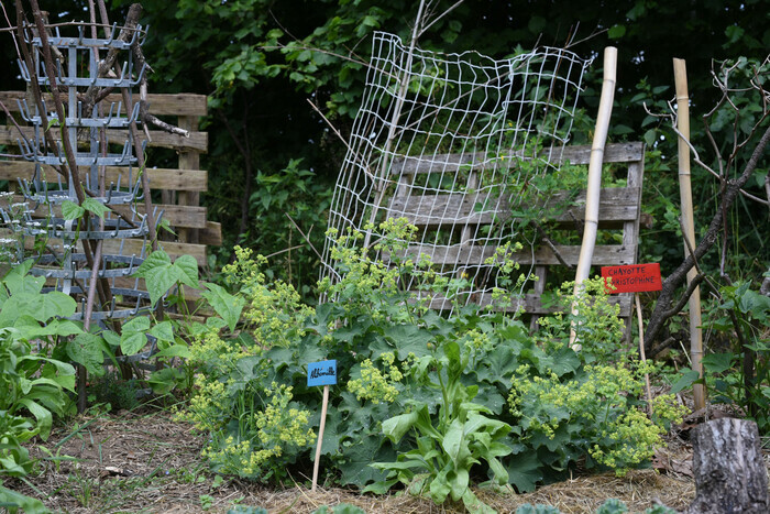 Ouverture Jardin Jardin de Pas Assez Chez Raby