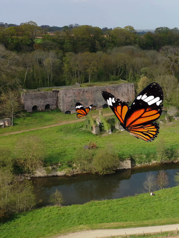 Papillon et Cie  Cavigny