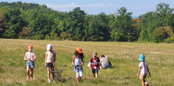 Papillons des prairies – Sortie Panda Club – WWF Genève, Autre lieu, Genève