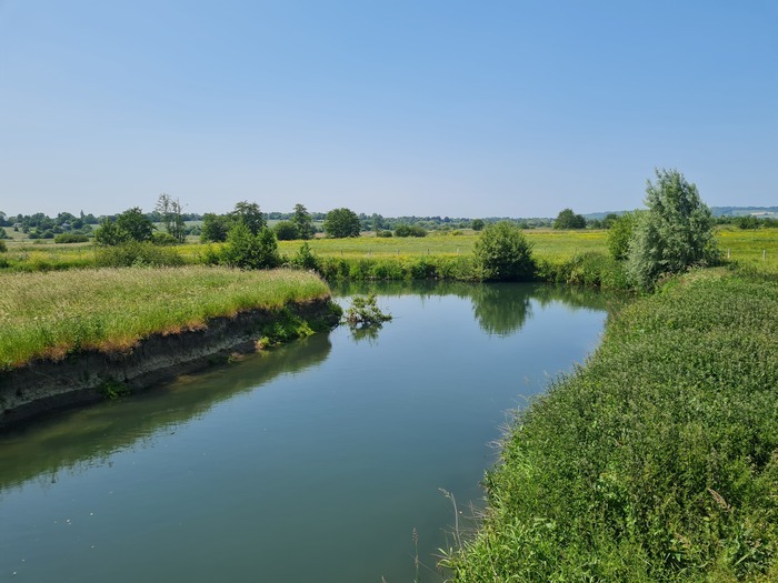 Papillons et autres petites bêtes du marais de la Touques, Parking de l&rsquo;espace naturel sensible du marais de la Touques, Canapville