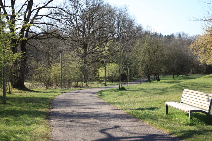 Parc « Klosegrënnchen » (Kirchberg) – visite guidée, Musée nationale d’histoire naturelle Luxembourg – Naturmusée, Luxembourg