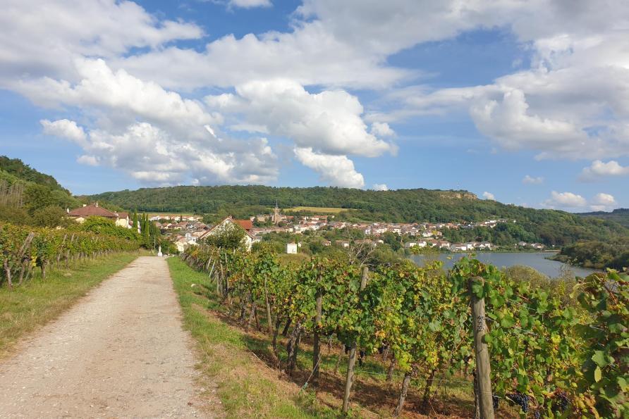 Parcours ludique La quête viticole de Paul  Contz-les-Bains