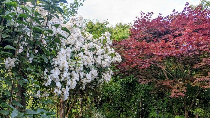 Parcours olfactif et sensoriel avec l'association Valentin Haüy de Limoges Le jardin aux oiseaux Couzeix