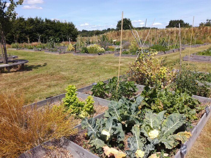 Parcours : visite du potager Potager de Beaumesnil Mesnil-en-Ouche