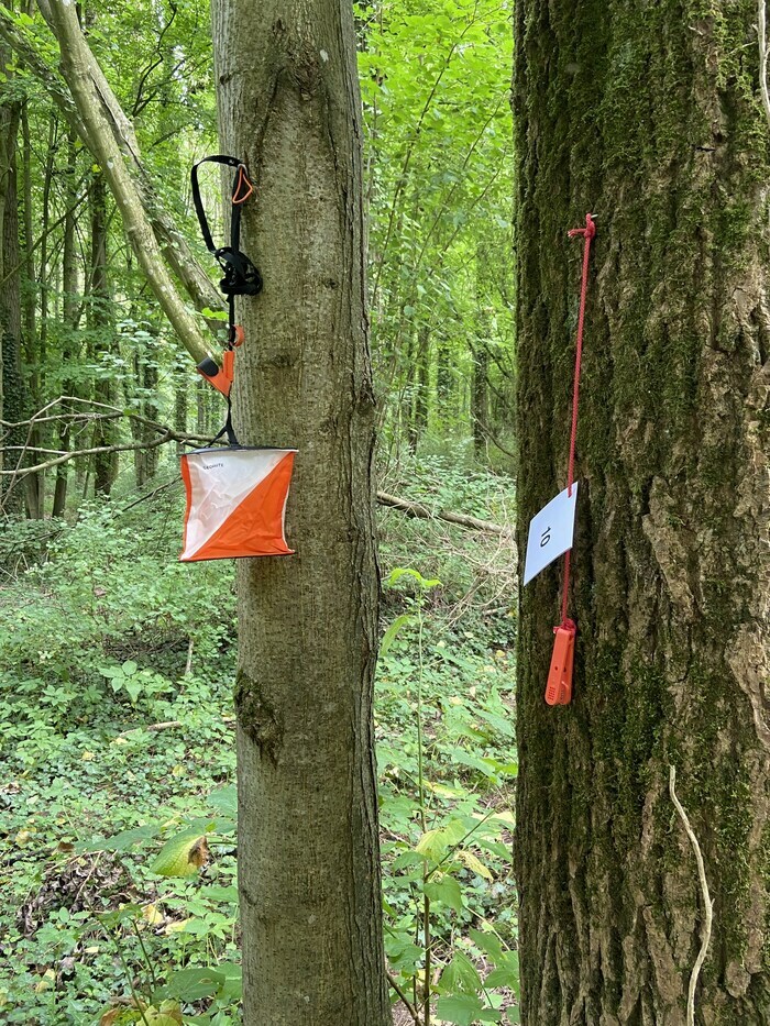 Parcours "vue" dans le parc château de Cercamp Frévent