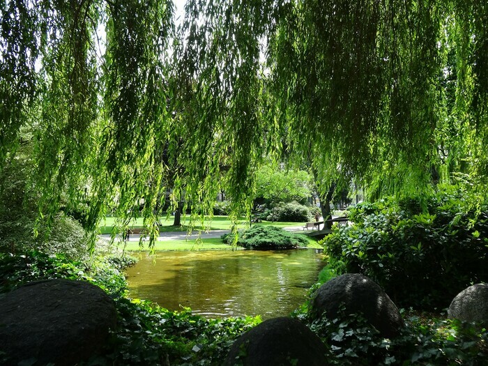 Parcours : yoga au square Saint-Roch, Square Saint-Roch, Le Havre
