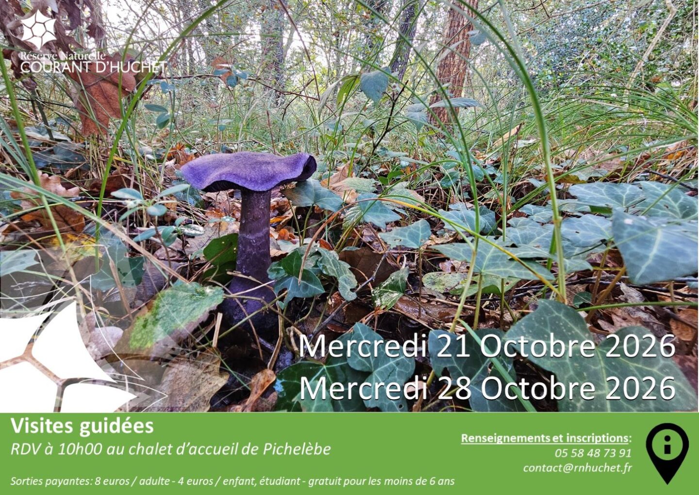 Partez à la découverte de la Réserve Naturelle du Courant d'Huchet RD328 Moliets-et-Maa 2026-10-21