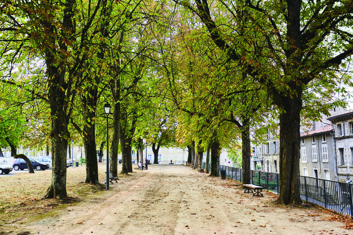 Paysage et patrimoine : une histoire de regards, hôtel de ville, Fontenay-le-Comte