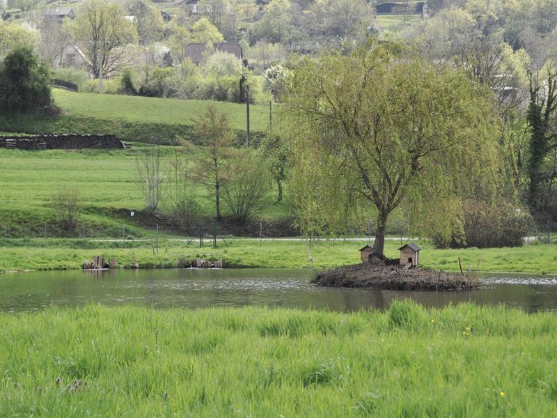 Pêche à l'étang rue Principalea Fouchy 2026-05-01