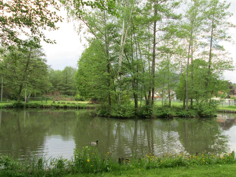 Pêche à l&rsquo;étang  Villé