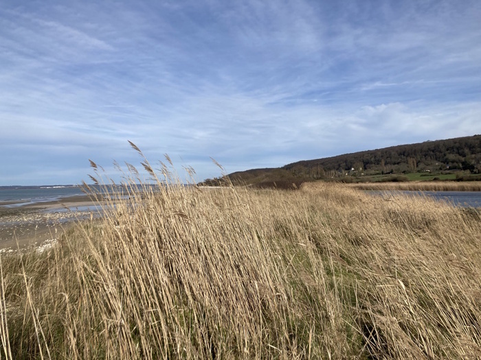 Pêche à pied naturaliste Parking de l'église Pennedepie