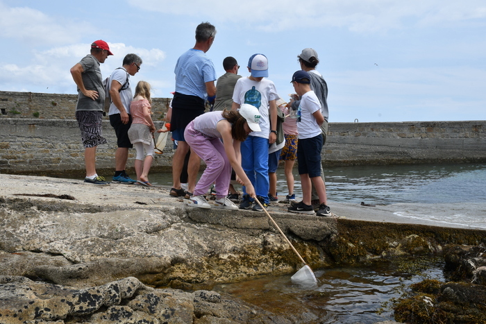 Pêche et plancton sur le port de Concarneau, Office de tourisme de Concarneau, Concarneau