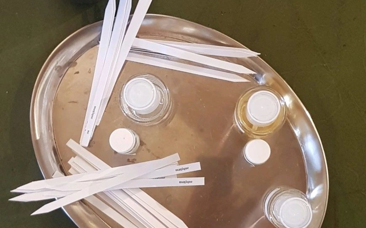 Performance Olfactive à la Maison de Balzac Maison de Balzac musée et bibliothèque Paris