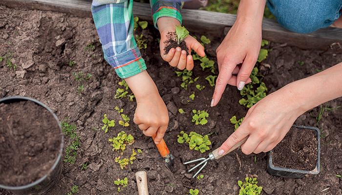 Permanences jardin, Médiathèque Luce Courville, Nantes