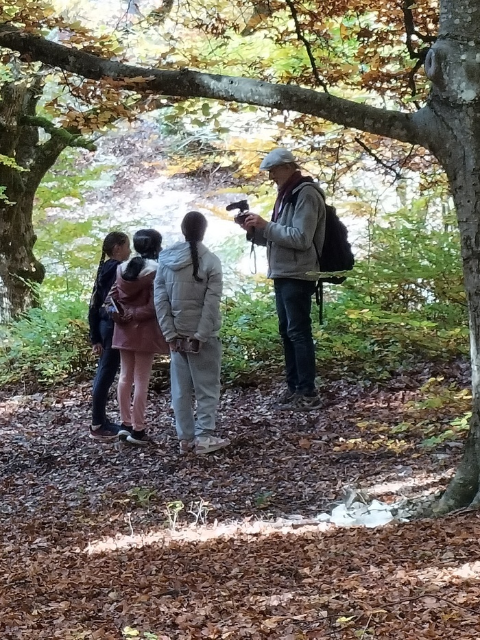 Petit arpentage photographique en forêt, Salagon, musée et jardins, Mane