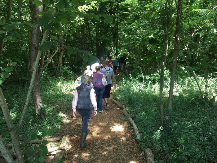 Petits secrets du Caprice (sortie contée pour enfants) Lieu de rdv donné à la réservation Saint-Aubin-d'Arquenay