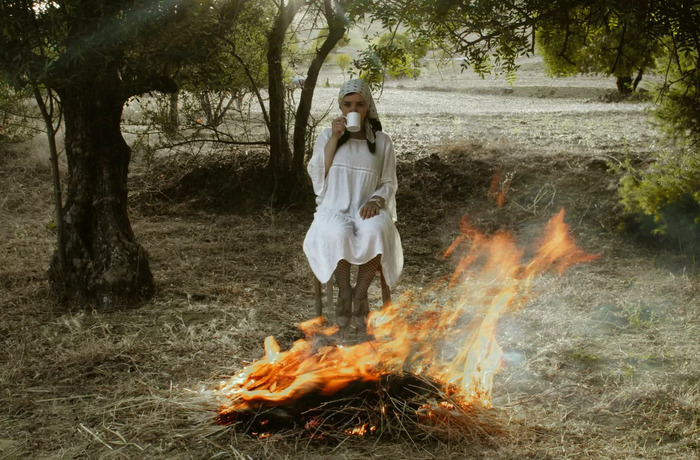 Photographie marocaine : Éléments d'histoire et pratiques contemporaines Château de Fontainebleau - salon des fleurs Fontainebleau