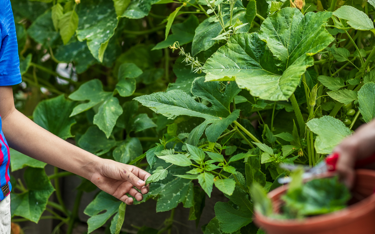Photowalk : Nation Photo x Jardin21 Jardin21 Paris