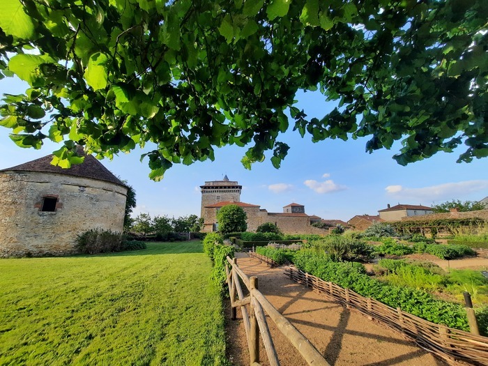 Pique-nique musical, Donjon de Bazoges-en-Pareds, Bazoges-en-Pareds