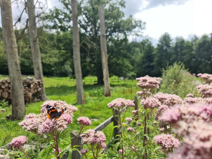 Pique & pique & Colégram Parking de la Maison de la Rivière et du Paysage Athis-Val-de-Rouvre
