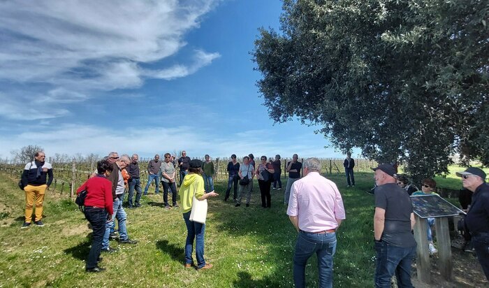 Plaimont Plaimont Saint-Mont