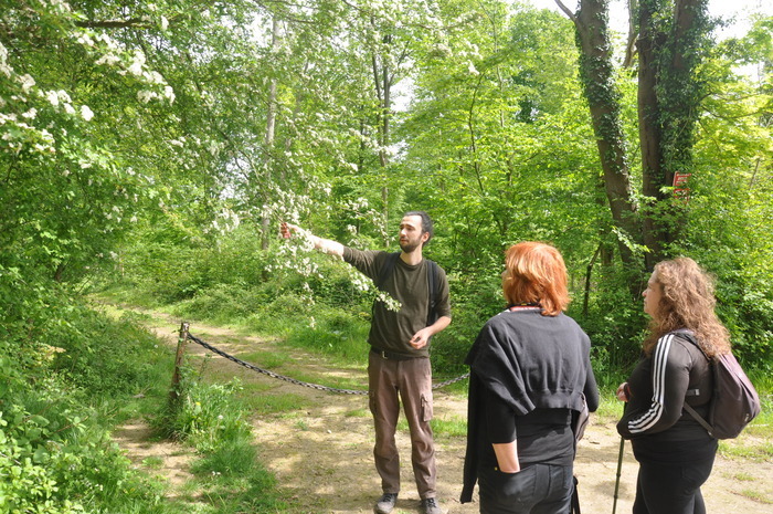 Plantes sauvages comestibles, pique-nique et balade animée en forêt, Chem. de la Longue Haye, 60700 Pontpoint, France, Pontpoint