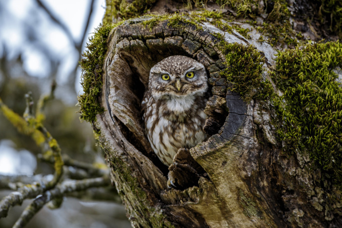 Plume de nuit, Rdv devant l&rsquo;Ephad Nathalie Doignies, Lille