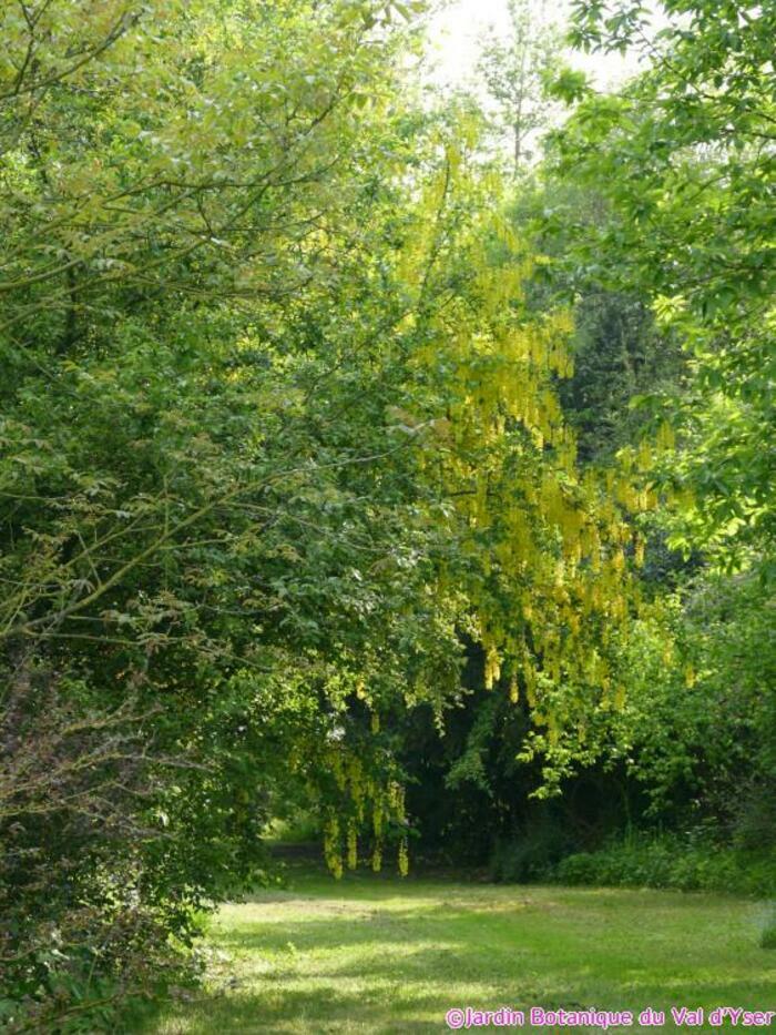 Portes ouvertes au Jardin botanique du Val d'Yser Jardin botanique du val d'yser Bambecque