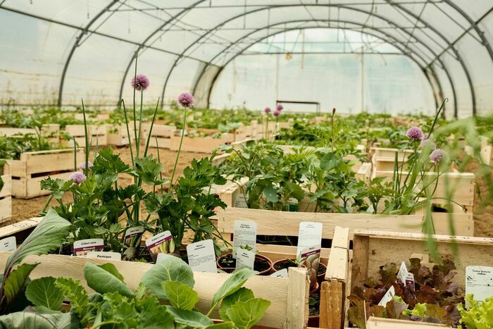 Portes Ouvertes au Jardin de Cocagne Jardin de Cocagne La Ferté-sur-Chiers