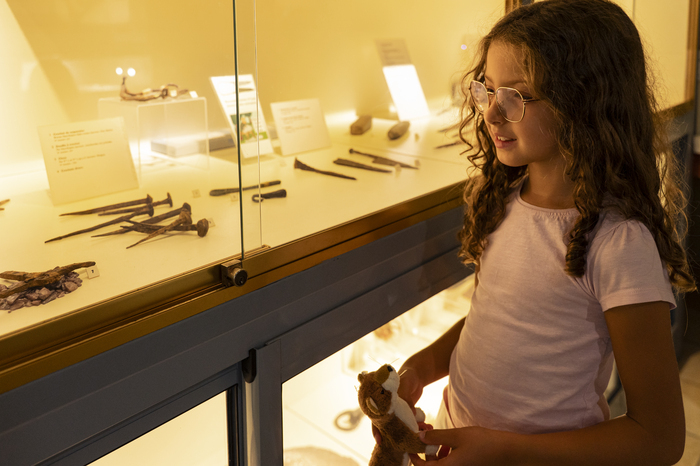 Portes ouvertes au musée Musée archéologique d'Izernore Izernore