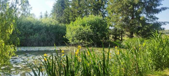 Portes ouvertes, Jardin du Pâtural des Joncs, Coyviller