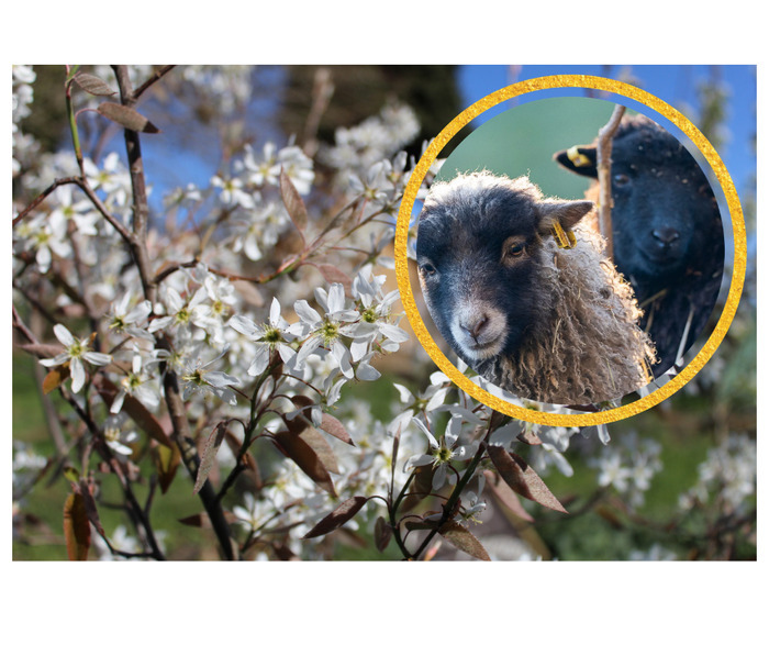 Portes ouvertes sur l&rsquo;agroécologie, Terlenn, Beyssac