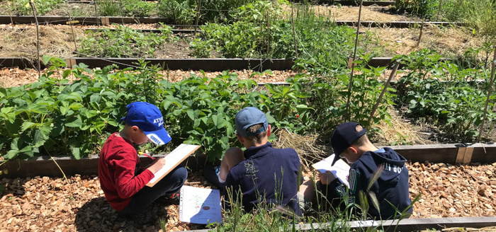 Potager enchanté – Sortie Panda Club – WWF Genève, Parc Bertrand,