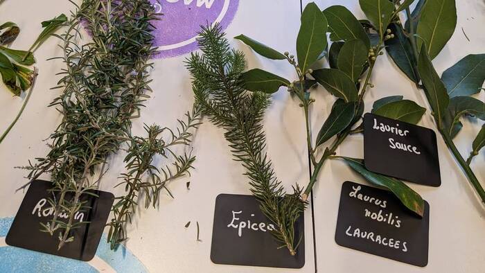 Prendre soin de soi en respectant la planète avec Nos Deux Mains Maison écocitoyenne Bordeaux