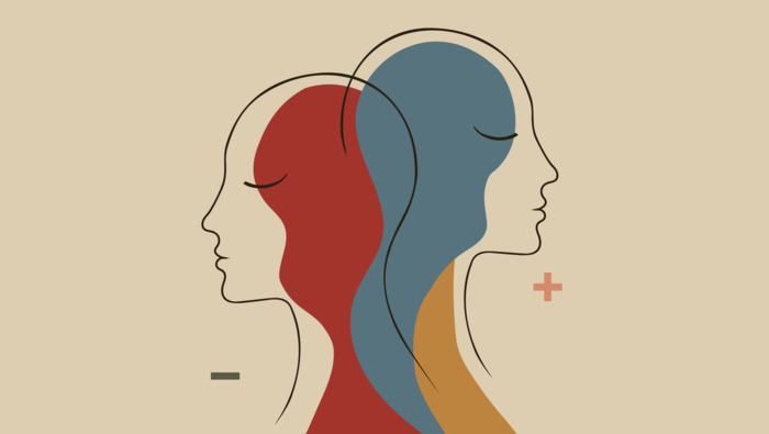 Prévenir la désinsertion: comment repérer et agir ensemble sur les parcours professionnels ? IGR-IAE Rennes Rennes