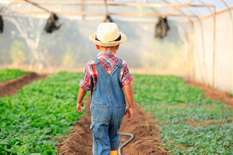 Printemps à la ferme  Brantôme en Périgord