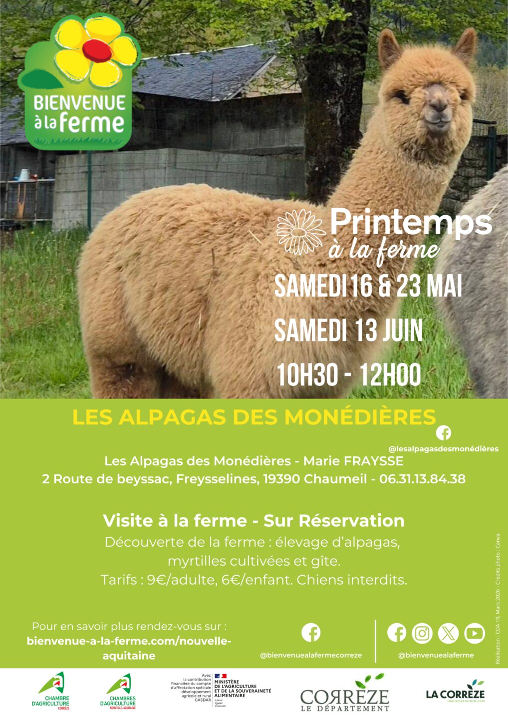 Printemps à la ferme Les Alpagas des Monédières  Chaumeil