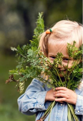 Printemps à la ferme les colombiers de la Xaintrie  Saint-Julien-aux-Bois